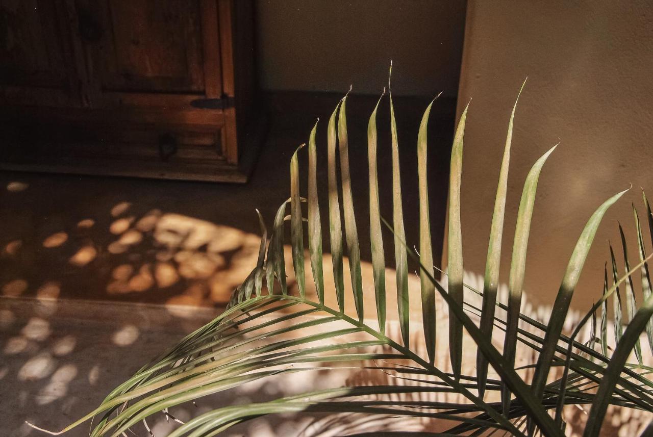 Boutique Hotel Posada 06 Tulum (Adults Only) Luaran gambar